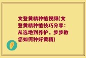 文登黄精种植视频(文登黄精种植技巧分享：从选地到养护，步步教您如何种好黄精)
