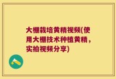 大棚栽培黄精视频(使用大棚技术种植黄精，实拍视频分享)