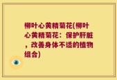 柳叶心黄精菊花(柳叶心黄精菊花：保护肝脏，改善身体不适的植物组合)