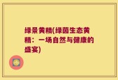 绿景黄精(绿茵生态黄精：一场自然与健康的盛宴)