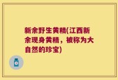 新余野生黄精(江西新余现身黄精，被称为大自然的珍宝)