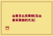 山里怎么找黄精(在山里采黄精的方法)