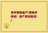 各种黄精亩产(黄精丰收啦！亩产再创新高！)