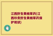 江西野生黄精草药(江西珍贵野生黄精草药保护现状)