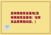 昆明黄精育苗基地(昆明黄精育苗基地：培育高品质黄精幼苗。)