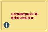 山东黄精种(山东产黄精种类及特征简介)