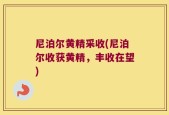 尼泊尔黄精采收(尼泊尔收获黄精，丰收在望)