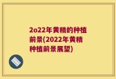 2o22年黄精的种植前景(2022年黄精种植前景展望)