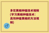 多花黄精种植技术视频(学习黄精种植技术：高效种植黄精的方法视频)
