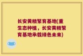 长安黄精繁育基地(重生态种植，长安黄精繁育基地承载绿色未来)
