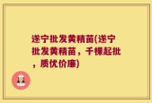 遂宁批发黄精苗(遂宁批发黄精苗，千棵起批，质优价廉)