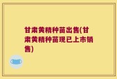 甘肃黄精种苗出售(甘肃黄精种苗现已上市销售)