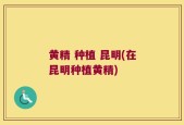 黄精 种植 昆明(在昆明种植黄精)