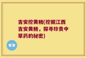 吉安挖黄精(挖掘江西吉安黄精，探寻珍贵中草药的秘密)