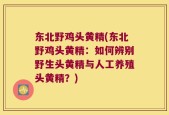 东北野鸡头黄精(东北野鸡头黄精：如何辨别野生头黄精与人工养殖头黄精？)