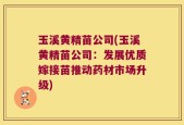 玉溪黄精苗公司(玉溪黄精苗公司：发展优质嫁接苗推动药材市场升级)