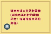湖南木溪口村药材黄精(湖南木溪口村的黄精药材：探寻传统中药的奥秘)