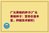 广元黄精的种子(广元黄精种子：营养价值丰富，种植技术解析)