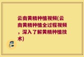 云南黄精种植视频(云南黄精种植全过程视频，深入了解黄精种植技术)