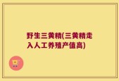 野生三黄精(三黄精走入人工养殖产值高)