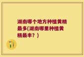 湖南哪个地方种植黄精最多(湖南哪里种植黄精最丰？)