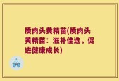 质肉头黄精苗(质肉头黄精苗：滋补佳选，促进健康成长)