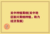 关中种植黄精(关中地区新兴黄精种植，助力经济发展)