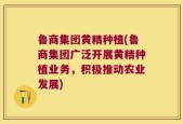 鲁商集团黄精种植(鲁商集团广泛开展黄精种植业务，积极推动农业发展)