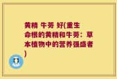 黄精 牛蒡 好(重生命根的黄精和牛蒡：草本植物中的营养强盛者)