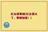 红太狼黄精(红太狼火了，黄精加盟！)