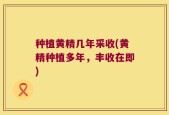 种植黄精几年采收(黄精种植多年，丰收在即)