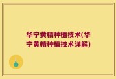 华宁黄精种植技术(华宁黄精种植技术详解)