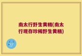 南太行野生黄精(南太行现存珍稀野生黄精)