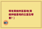 哪有黄精种苗基地(黄精种植基地的位置在哪里？)
