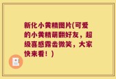 新化小黄精图片(可爱的小黄精萌翻好友，超级喜感露齿微笑，大家快来看！)