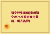 镇宁野生黄精(贵州镇宁现75岁罕见野生黄精，诱人品尝)