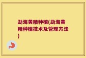 勐海黄精种植(勐海黄精种植技术及管理方法)