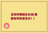 怎样种黄精生长快(黄精如何快速生长？)