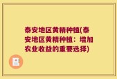 泰安地区黄精种植(泰安地区黄精种植：增加农业收益的重要选择)