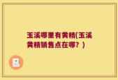 玉溪哪里有黄精(玉溪黄精销售点在哪？)