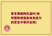 麦冬黄精枸杞桑叶(有效帮助增强身体免疫力的常见中草药名称)