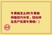 牛黄精怎么种(牛黄精种植技巧分享，轻松种出高产优质牛黄精！)