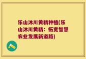 乐山沐川黄精种植(乐山沐川黄精：拓宽智慧农业发展新道路)