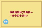 滇黄精是啥(滇黄精——神奇的中药材)
