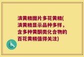 滇黄精图片多花黄精(滇黄精显示品种多样，含多种黄酮类化合物的百花黄精值得关注)