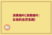 滇黄精叶(滇黄精叶：云南的自然宝藏)