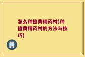 怎么种植黄精药材(种植黄精药材的方法与技巧)