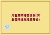 河北黄精种苗批发(河北黄精批发现已开启)
