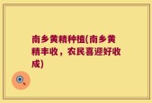 南乡黄精种植(南乡黄精丰收，农民喜迎好收成)