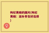 枸杞黄精的图片(枸杞黄精：滋补养生好选择)